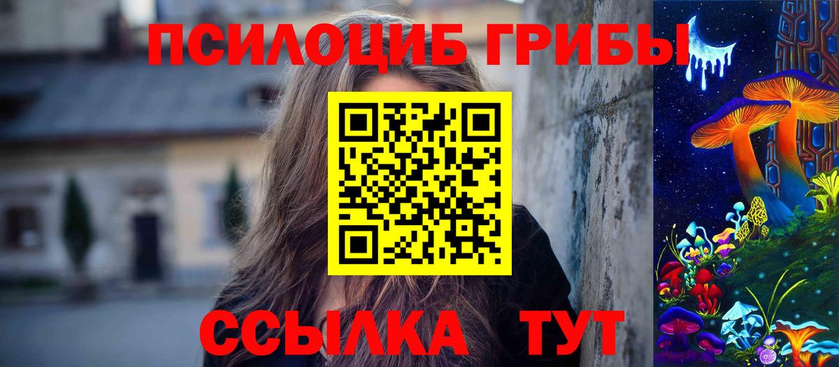 Псилоцибиновые грибы Psilocybine cubensis Озёры